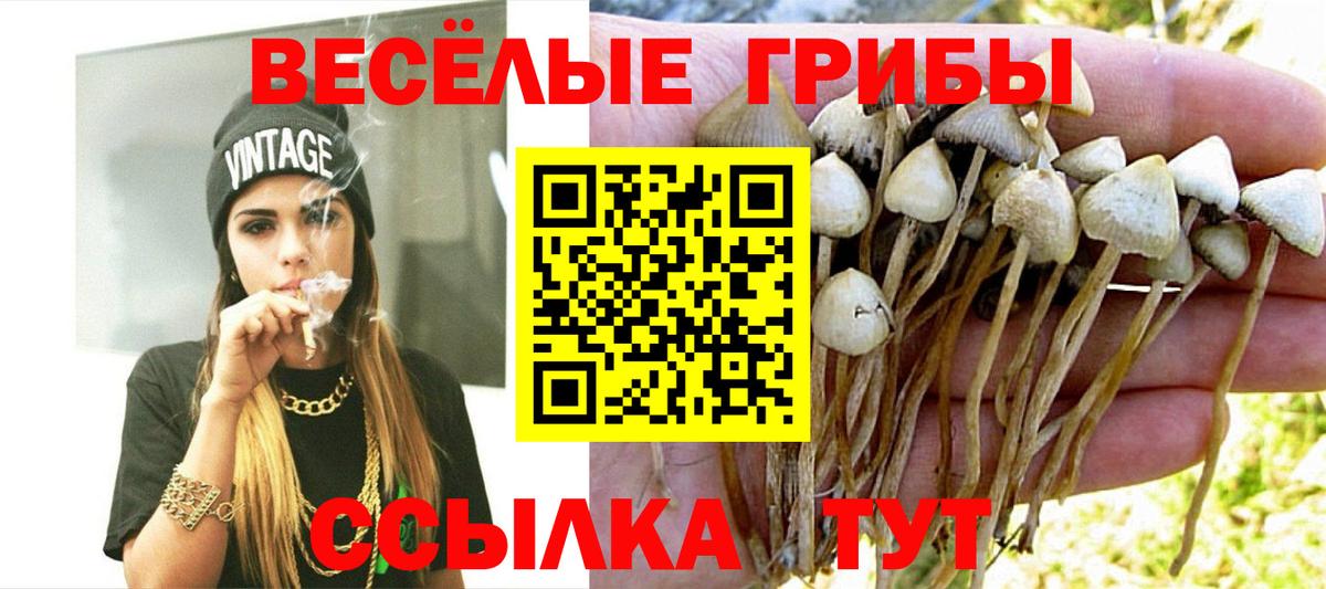 Вязники  Псилоцибиновые грибы Cubensis  купить наркотики цена  Вход с VPN 